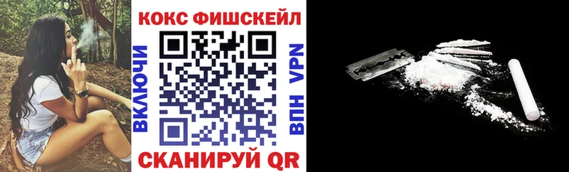 где можно купить наркотик  Юрьевец  COCAIN Fish Scale 