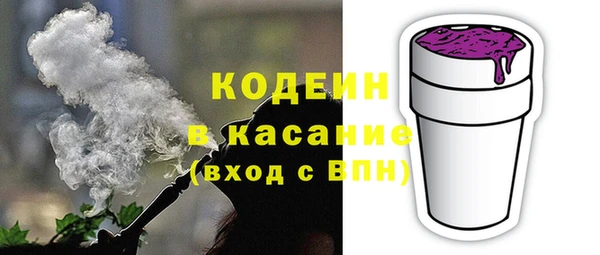 сатива Лабытнанги