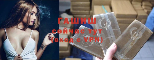 сатива Лабытнанги