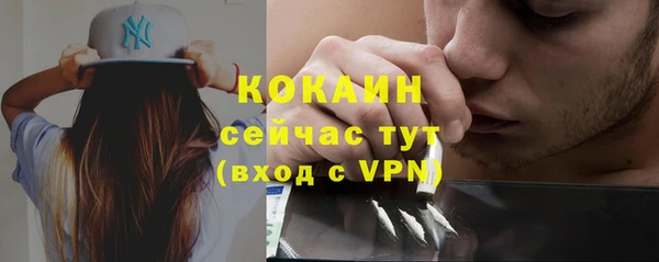сатива Лабытнанги
