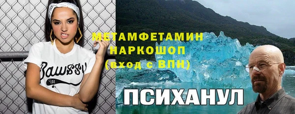 сатива Лабытнанги