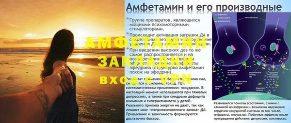 сатива Лабытнанги