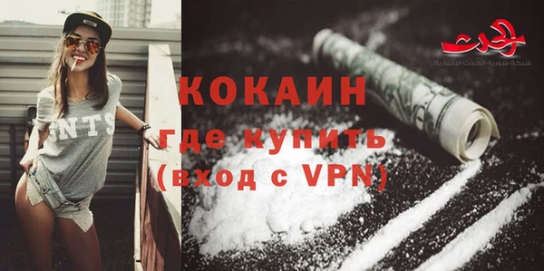 сатива Лабытнанги