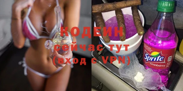 сатива Лабытнанги